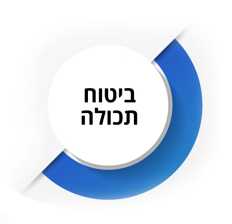 עיגול דקורטיבי שבתוכו הכותרת: ביטוח תכולה