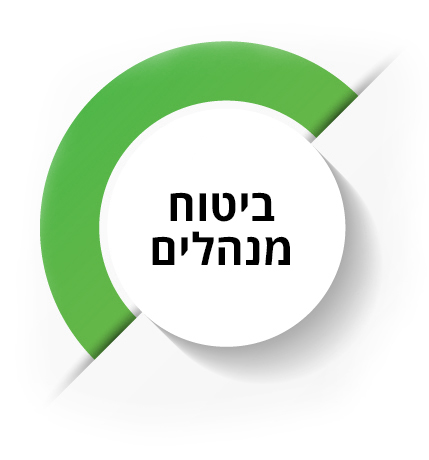 עיגול דקורטיבי שבתוכו הכותרת: ביטוח מנהלים